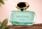 Scents That Speak Before You Do: The Power of a Lasting First Impression